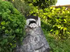 東海市熊野神社の動物