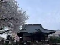 日蓮宗 浄運寺(東京都)
