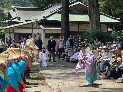 近津神社(茨城県)