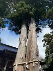 高司神社〜むすびの神の鎮まる社〜(福島県)