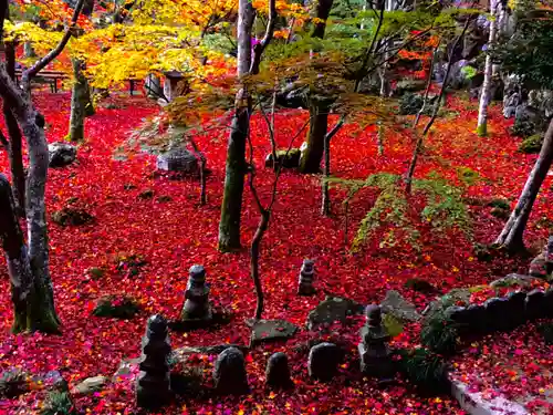 瓦屋寺の庭園