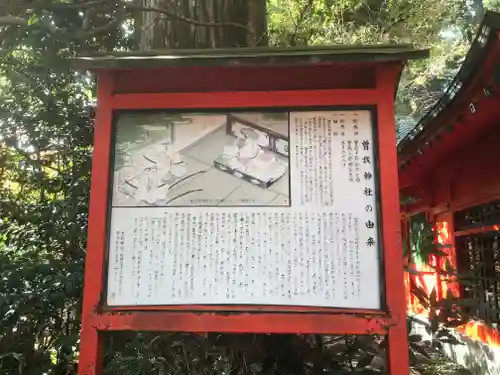 箱根神社の歴史