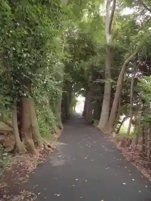 北新羽杉山神社の周辺