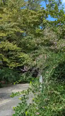 梨木神社(京都府)