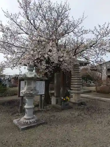 陽雲寺(埼玉県)