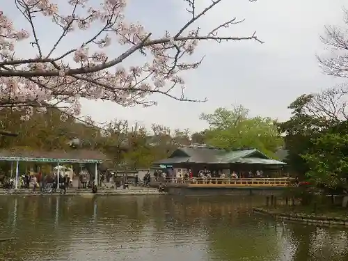 鶴岡八幡宮の庭園