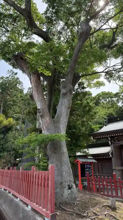 住吉神社(福島県)