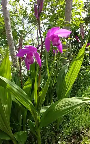 比佐豆知神社(三重県)
