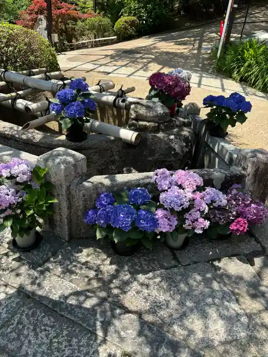 長谷寺(奈良県)