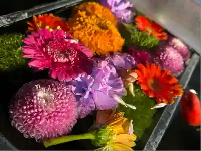 成田山深川不動堂（新勝寺東京別院）(東京都)