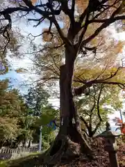 小内八幡神社(長野県)