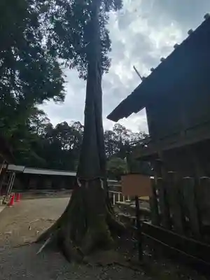豊受大神社(京都府)