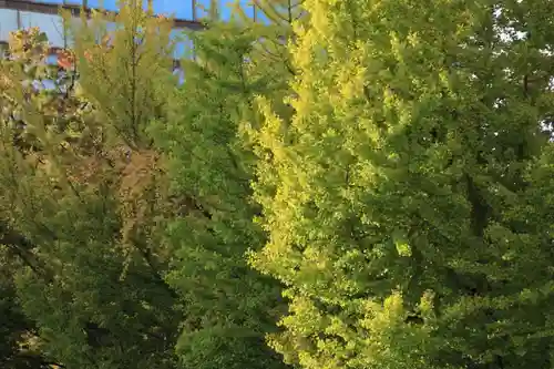 阿邪訶根神社の自然