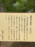 浅草寺の歴史