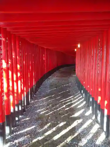 神徳稲荷神社の鳥居