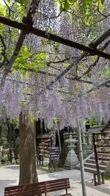 呑山観音寺(福岡県)