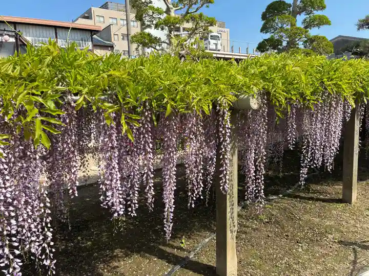 地福寺(徳島県)