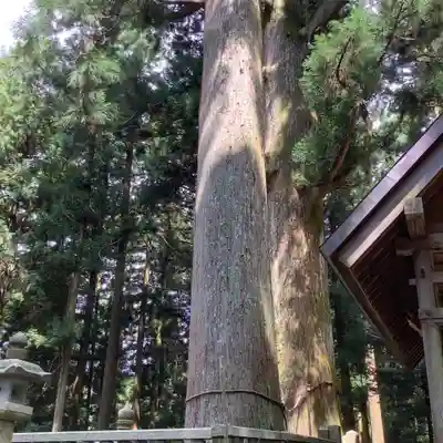 恵那神社(岐阜県)