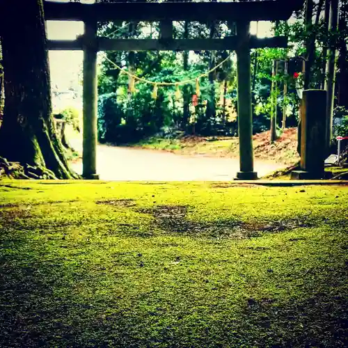 國土神社の鳥居