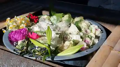 上野東照宮の手水舎