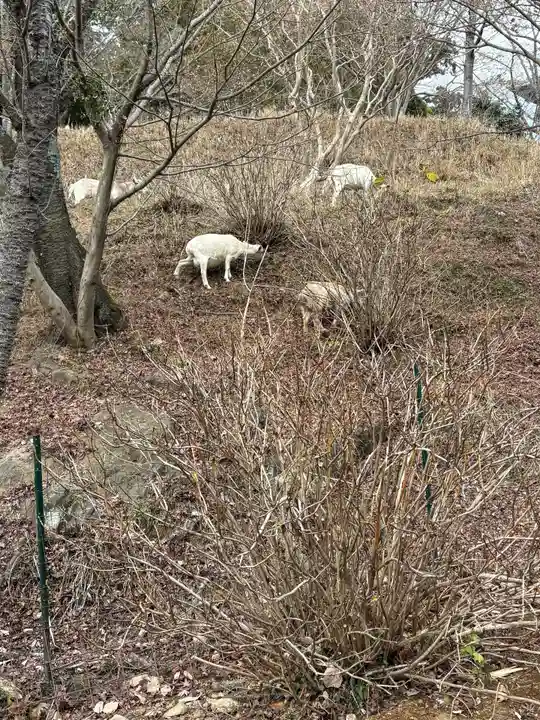 楽法寺(雨引観音)(茨城県)
