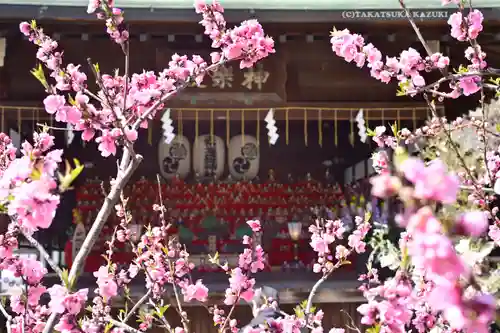 素盞雄神社のその他建物