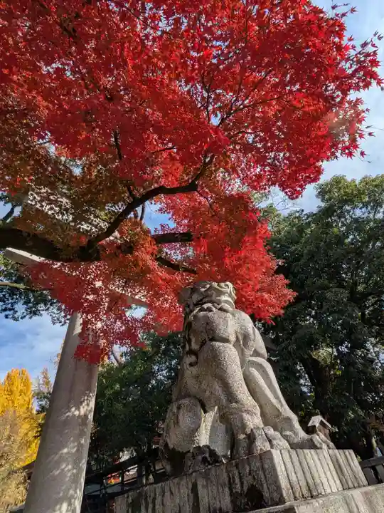 秩父神社(埼玉県)
