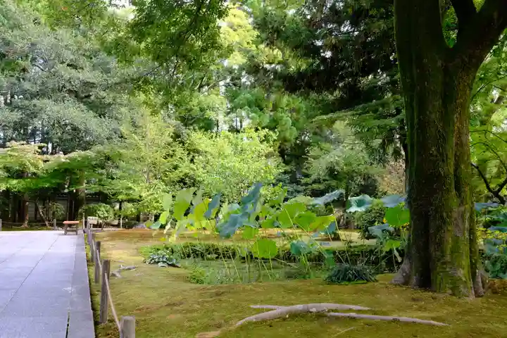 廣隆寺(京都府)