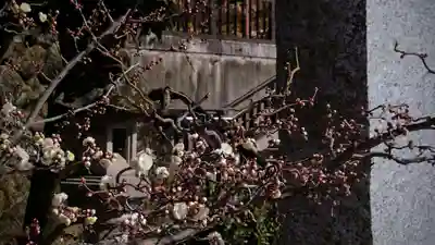 岩津天満宮(愛知県)