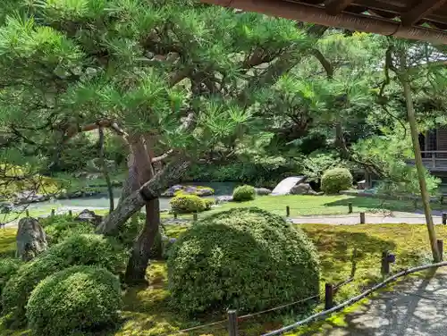 青蓮院門跡(京都府)
