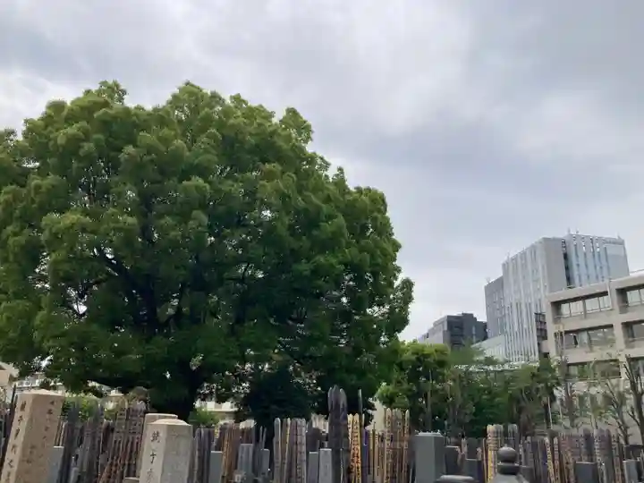 高徳寺(東京都)