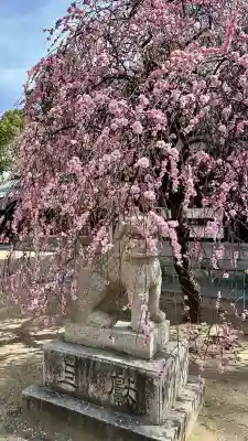 屯倉神社(大阪府)