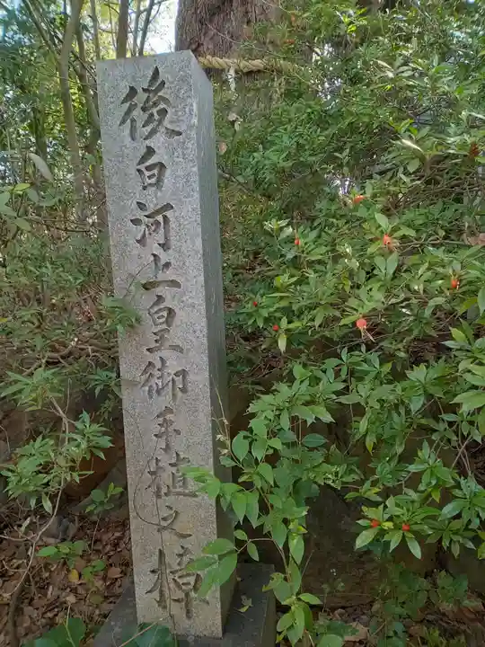 新熊野神社(京都府)