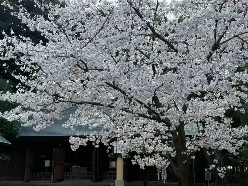 埼玉縣護國神社の{uncategorized: "未分類", other: "その他", undefined: "問題あり", building: "その他建物", grave: "お墓", sacred_gate: "鳥居", guardian: "狛犬", statue: "像", buddha: "仏像", history: "歴史", nature: "自然", garden: "庭園", animal: "動物", pagoda: "塔", temizu: "手水舎", mountain_gate: "山門・神門", sanctuary: "本殿・本堂", subordinate: "末社・摂社", art: "芸術", scenery: "景色", jizo: "地蔵", ema: "絵馬", goshuin: "御朱印", omikuji: "おみくじ", items: "授与品その他", amulet: "お守り", goshuincho: "御朱印帳", eats: "食事", festival: "お祭り", votive_dance: "神楽", shichigosan: "七五三参", wedding: "結婚式", experience: "体験その他", initially: "初詣", around: "周辺", anti_infection: "感染症対策"}