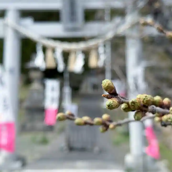 高司神社〜むすびの神の鎮まる社〜(福島県)