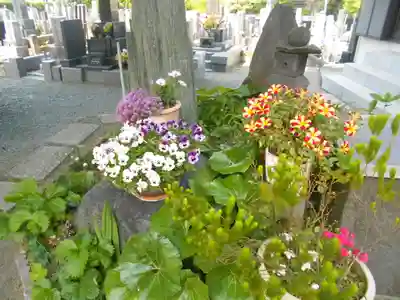 千手院(神奈川県)