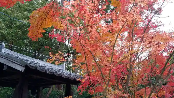 霊山寺(仁和寺塔頭)の景色