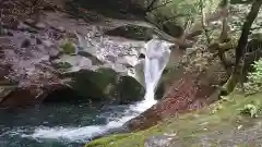 龍鎮神社の自然