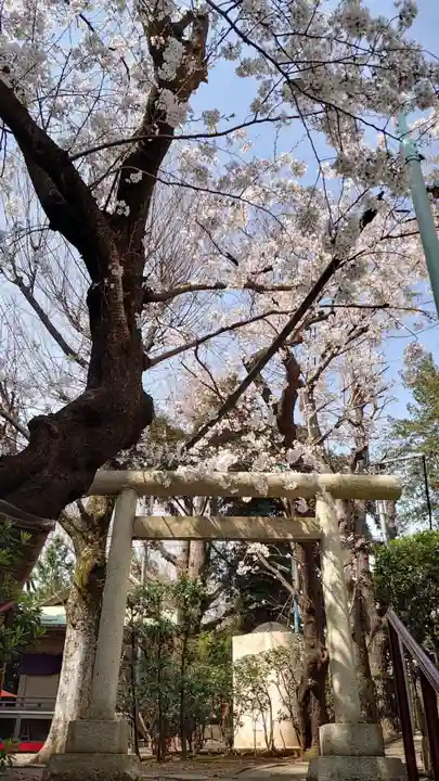 上目黒氷川神社の鳥居