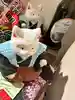 にしやん