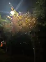 新琴似神社(北海道)