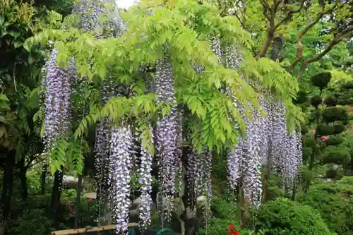 古峯神社の庭園