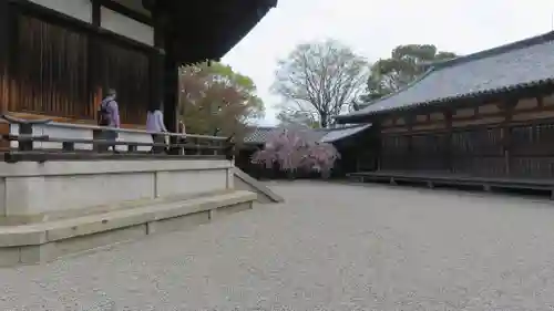 法隆寺の庭園