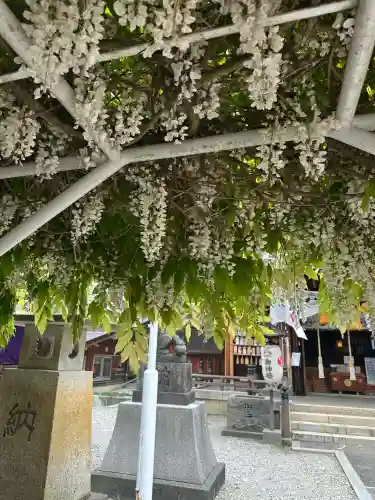 奥田神社の{uncategorized: "未分類", other: "その他", undefined: "問題あり", building: "その他建物", grave: "お墓", sacred_gate: "鳥居", guardian: "狛犬", statue: "像", buddha: "仏像", history: "歴史", nature: "自然", garden: "庭園", animal: "動物", pagoda: "塔", temizu: "手水舎", mountain_gate: "山門・神門", sanctuary: "本殿・本堂", subordinate: "末社・摂社", art: "芸術", scenery: "景色", jizo: "地蔵", ema: "絵馬", goshuin: "御朱印", omikuji: "おみくじ", items: "授与品その他", amulet: "お守り", goshuincho: "御朱印帳", eats: "食事", festival: "お祭り", votive_dance: "神楽", shichigosan: "七五三参", wedding: "結婚式", experience: "体験その他", initially: "初詣", around: "周辺", anti_infection: "感染症対策"}