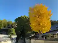 極楽寺(香川県)