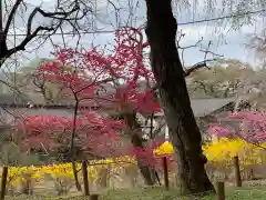 清雲寺の自然