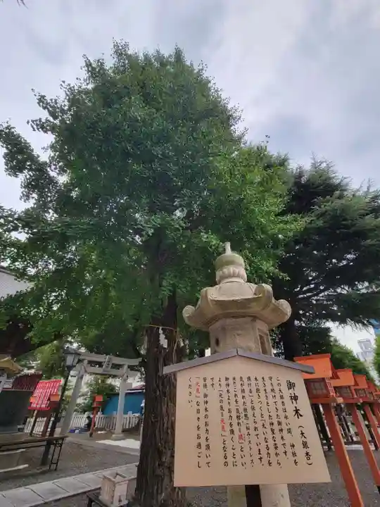 草加神社の自然