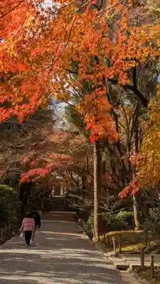 龍安寺(京都府)