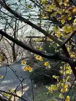 群馬県護国神社(群馬県)