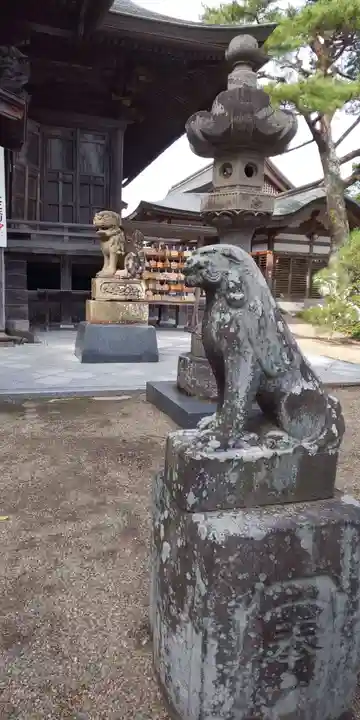 山神社の狛犬